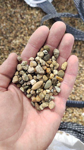 Kamenclub.ru: Галька окат (серо-желтая) фр.5-10 мм. купить  в Пензе галька речная рыжий, желтый, рыжий, серо-желтый речная окатанная галька декоративная 5000 руб/т   фото КАМЕНЬ КЛУБ